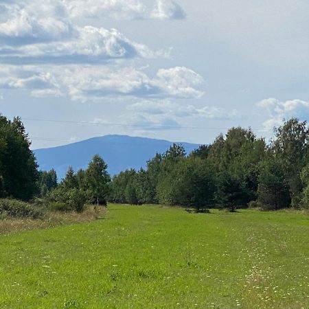 Góralskie Domki u Topora Czarny Dunajec Exterior foto