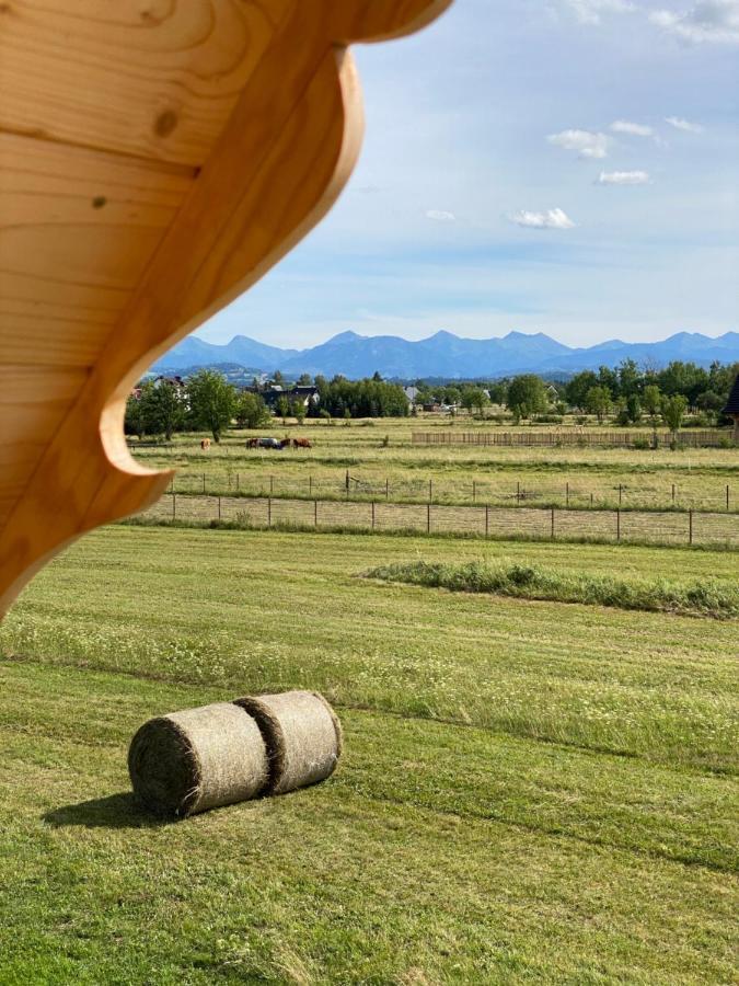 Góralskie Domki u Topora Czarny Dunajec Exterior foto